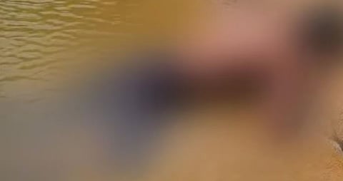 ഒറ്റപ്പാലത്ത് ഭാരതപ്പുഴയിൽ വയോധികൻ്റെ മൃതദേഹം കണ്ടെത്തി | Body