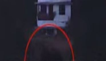 കുതിരാനിൽ ഭീതി വിതച്ച് വീണ്ടും പ്രശ്നക്കാരനായ ഒറ്റക്കൊമ്പൻ: ജനവാസ മേഖലയിൽ തുടർച്ചയായി ഇറങ്ങുന്നു, ദൗത്യം ആരംഭിച്ചു | Wild Elephant