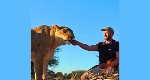 13 വർഷത്തെ ആത്മബന്ധം: പെണ്‍സിംഹം വേട്ടയാടിയ മൃഗത്തിന്റെ മാംസകഷണം ചുട്ടുതിന്ന് യുവാവ്