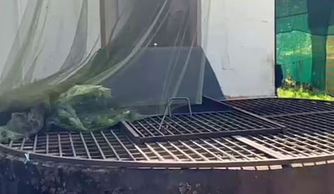 കണ്ണൂരിലെ 2 മാസം പ്രായമുള്ള കുഞ്ഞിൻ്റെ മരണം കൊലപാതകം: അമ്മ അറസ്റ്റിൽ | Murder