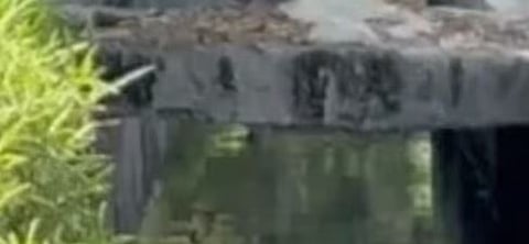 തലയും കൈപ്പത്തികളും ഇല്ല: നോയിഡയിൽ അഴുക്കു ചാലിൽ നഗ്നയായ നിലയിൽ യുവതിയുടെ മൃതദേഹം | Body