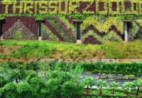 തെരുവു നായ്ക്കളുടെ ആക്രമണത്തിൽ 10 മാനുകൾ ചത്തു: പുത്തൂർ സുവോളജിക്കൽ പാർക്കിൽ ഗുരുതര സുരക്ഷാ വീഴ്ച | Stray dog