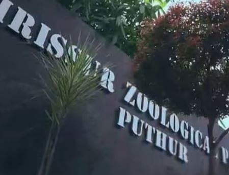 പുത്തൂർ സുവോളജിക്കൽ പാർക്കിലെ മാനുകൾ ചത്ത സംഭവം: ജീവനക്കാരുടെ വീഴ്ച പരിശോധിക്കുമെന്ന് ചീഫ് വൈൽഡ് ലൈഫ് വാർഡൻ | Deer