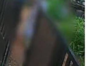 കല്ല് കൊണ്ട് തലയ്ക്കടിച്ചു : അതിർത്തി തർക്കത്തിൻ്റെ പേരിൽ തിരുവനന്തപുരത്ത് വയോധികയ്ക്ക് ക്രൂര മർദ്ദനം | Border dispute