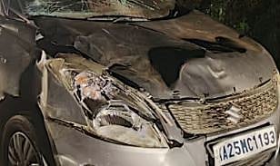 റോഡ് മുറിച്ചു കടന്ന കാട്ടാനയെ കാറിടിച്ചു: ആന കാറിനു മുകളിലേക്ക് വീണു, യാത്രക്കാർ രക്ഷപ്പെട്ടു | Wild elephant