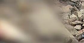 ആലപ്പുഴയിൽ കണ്ടെത്തിയ മനുഷ്യൻ്റെ കാൽ ട്രെയിൻ തട്ടി മരിച്ച കണ്ണൂർ സ്വദേശിയുടേതെന്ന് പ്രാഥമിക നിഗമനം | Leg