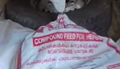 വിൽപന ലക്ഷ്യമിട്ട 66 കിലോ ചന്ദനത്തടി സഹിതം 5 പേർ അറസ്റ്റിൽ |Sandalwood