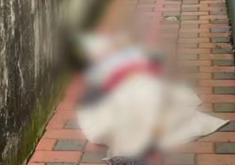ഞെട്ടലോടെ കൊച്ചി: തേവരയിൽ സ്ത്രീയുടെ നഗ്നമായ മൃതദേഹം ചാക്കിൽ പൊതിഞ്ഞ നിലയിൽ; വീട്ടുടമസ്ഥൻ കസ്റ്റഡിയിൽ | Body