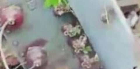 കാറിടിച്ച് ട്രാൻസ്‌ഫോർമർ തകർന്നു: മേപ്പയൂരിലെ വൈദ്യുതി മുടങ്ങി, 7.5 ലക്ഷം രൂപയുടെ നഷ്ടം | Transformer