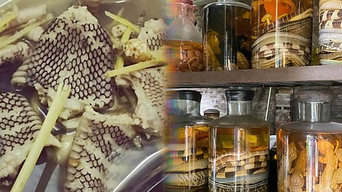 Lệ Mật, the mysterious Snake Village