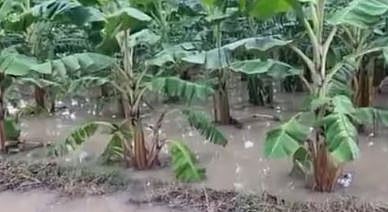 തമിഴ്നാട്ടിൽ കനത്ത മഴയിൽ 3 മരണം: 12 ജില്ലകളിലെ സ്കൂളുകൾക്ക് അവധി | Heavy rains