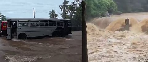 Cyclone Ditwah, Sri Lanka, India and November
