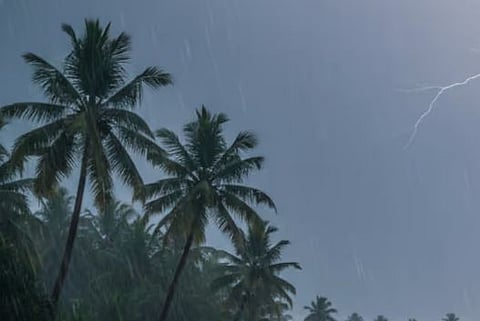 'ഡിറ്റ് വാ' ചുഴലിക്കാറ്റ്: സംസ്ഥാനത്ത് തണുത്ത കാലാവസ്ഥ തുടരും, ഇന്നും പരക്കെ മഴയ്ക്ക് സാധ്യത | Cyclone Ditwah