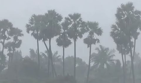 ഡിറ്റ്‌വാ ചുഴലിക്കാറ്റ്: തമിഴ്‌നാട്ടിൽ വിവിധ ജില്ലകളിൽ ഓറഞ്ച് അലർട്ട്; ചെന്നൈ അടക്കം 3 ജില്ലകളിൽ വിദ്യാഭ്യാസ സ്ഥാപനങ്ങൾക്ക് അവധി | Cyclone Ditwah