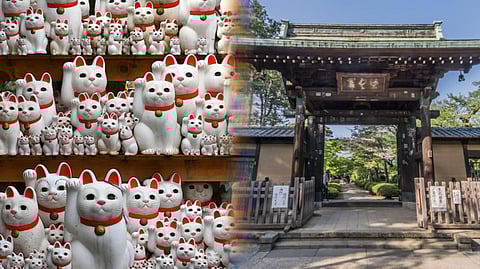 Gotokuji Temple of Tokyo, the birthplace of Maneki-neko