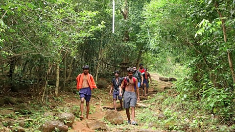 ശബരിമല പുല്ലുമേട് പാതയിൽ നിയന്ത്രണം; സ്പോട്ട് ബുക്കിങ് വഴി ദിവസം 1000 പേർക്ക് മാത്രം പ്രവേശനം
