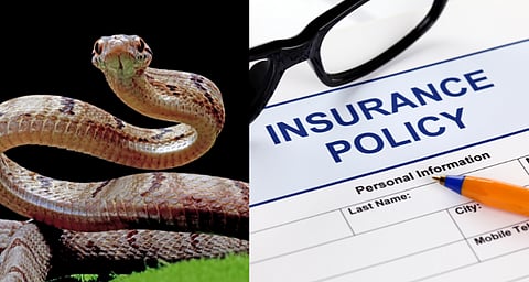 ഇൻഷുറൻസ് പണത്തിനായി അച്ഛനെ പാമ്പിനെക്കൊണ്ട് കടിപ്പിച്ചു കൊന്നു; തമിഴ്‌നാട്ടിൽ മക്കൾ അറസ്റ്റിൽ |Snake Bite Murder
