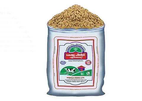 ക്ഷീരകർഷകർക്ക് ക്രിസ്തുമസ് സമ്മാനം: കേരള ഫീഡ്സ് 'എലൈറ്റും' 'മിടുക്കിയും' ഇനി പ്രത്യേക വിലക്കിഴിവോടുകൂടി 20 കിലോ പായ്ക്കറ്റുകളിലും