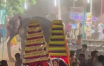 കൂറ്റഞ്ചേരി ക്ഷേത്രോത്സവത്തിനിടെ ആന ഇടഞ്ഞു: ഭയന്ന് ഓടുന്നതിനിടെ വീണ് 7 പേർക്ക് പരിക്ക് | Elephant