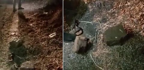 ഒറ്റപ്പാലത്ത് സ്ഫോടക വസ്തു പൊട്ടിത്തെറിച്ച് വിദ്യാർത്ഥിക്ക് പരിക്ക്: കേസെടുത്തു | Explosion