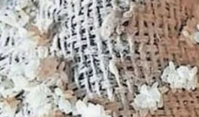 റേഷൻ കടകളിൽ പുഴുവും മാലിന്യവും നിറഞ്ഞ അരി: അരൂരിൽ പ്രതിഷേധം | Rice