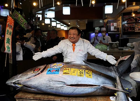 Japan Tuna Auction,