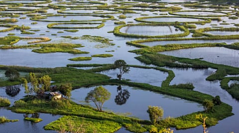 ഒഴുകുന്ന ദേശീയ ഉദ്യാനമോ! കാറ്റിന്റെ ഗതിക്കനുസരിച്ച് നീങ്ങുന്ന അത്ഭുത ലോകം; ലോകത്തിലെ ഏക ഫ്ലോട്ടിംഗ് ദേശീയ ഉദ്യാനമായ കെയ്‌ബുൾ ലാംജാവോ | Keibul Lamjao National Park
