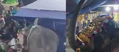 പുൽപ്പള്ളിയിൽ ഉത്സവത്തിനിടെ ആന ഇടഞ്ഞു: 2 പാപ്പാന്മാർക്ക് പരിക്ക് | Elephant