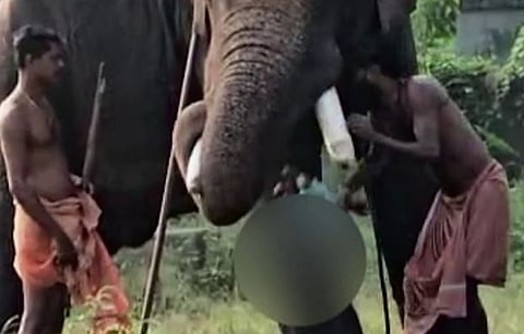 6 മാസം പ്രായമുള്ള കുഞ്ഞുമായി ആനയ്ക്കരികിൽ പാപ്പാന്മാരുടെ 'സാഹസം': സ്വമേധയാ കേസെടുത്ത് പോലീസ്, പാപ്പാൻ കസ്റ്റഡിയിൽ | Elephant