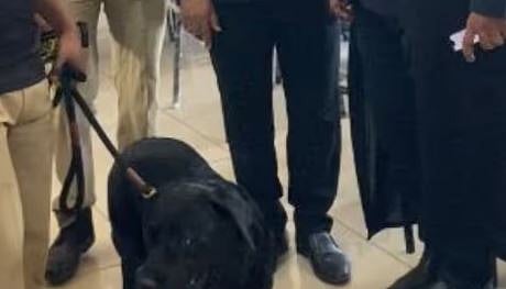 കാസർഗോഡ്, ഇടുക്കി ജില്ലാ കോടതികളിൽ ബോംബ് ഭീഷണി: പരിശോധന | Bomb threat