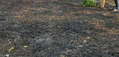 എടക്കരയിൽ റബ്ബർ തോട്ടത്തിൽ വൻ തീപിടിത്തം | Fire