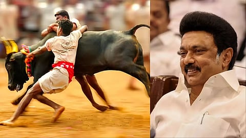 ജെല്ലിക്കെട്ട് വിജയികൾക്ക് സർക്കാർ ജോലി; അളങ്കാനല്ലൂരിൽ പ്രത്യേക ചികിത്സാ കേന്ദ്രം: എം.കെ. സ്റ്റാലിൻ | Jallikattu winners government jobs