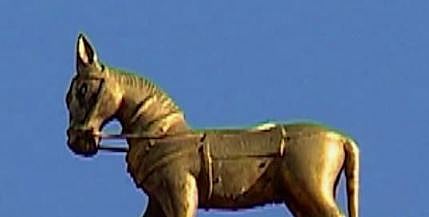 വാജിവാഹന കൈമാറ്റം ഹൈക്കോടതിയുടെ അറിവോടെ: SIT പ്രതിരോധത്തിൽ, കോടതിയുടെ അഭിപ്രായം തേടിയ ശേഷം കേസെടുക്കും | Vaji Vahanam