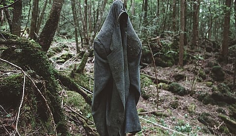 Aokigahara Forest 