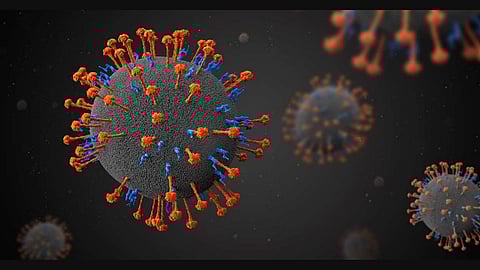 നിപ: തിരുവാലി, മമ്പാട് പഞ്ചായത്തുകളിലെ 5 വാര്‍ഡുകള്‍ കണ്ടെയ്ന്‍മെന്റ് സോണായി പ്രഖ്യാപിച്ചു