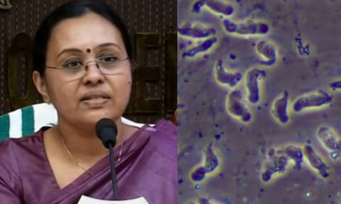 നിപ ബാധ: മലപ്പുറം ജില്ലയിൽ കണ്ടെയ്ൻമെൻ്റ് സോണുകളടക്കം എല്ലാ നിയന്ത്രണവും പിൻവലിച്ചു