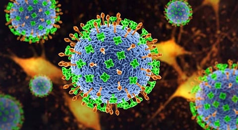 മലപ്പുറത്തെ നിപ മരണം: സമ്പർക്കപ്പട്ടികയിൽ 151 പേർ; അഞ്ച് സാമ്പിളുകൾ കൂടി പരിശോധനക്ക് അയച്ചു | Nipah death in Malappura