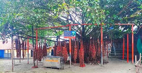 കാട്ടിൽ മേക്കതിൽ ദേവീക്ഷേത്രം | Kattil Mekkathil Devi Temple