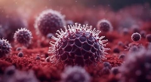 നിപ മരണം: അതിര്‍ത്തികളില്‍ കര്‍ശന പരിശോധനയുമായി തമിഴ്‌നാട്