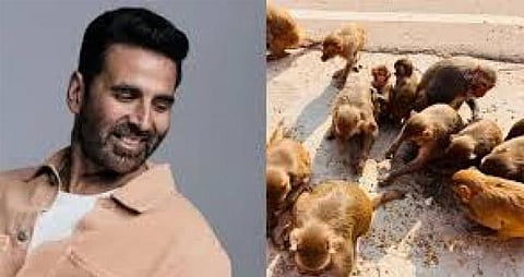 അ​യോ​ധ്യ​യി​ലെ കു​ര​ങ്ങു​ക​ളു​ടെ ഭ​ക്ഷ​ണ​ത്തി​നാ​യി ഒ​രു കോ​ടി രൂ​പ സം​ഭാവന ന​ൽ​കി ന​ട​ൻ അ​ക്ഷ​യ് കു​മാ​ർ