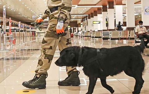 വ്യാജ ബോംബ് ഭീഷണി സന്ദേശങ്ങൾ വന്ന സംഭവം: ഇ-മെയിലുകളുടെ ഉറവിടം കണ്ടെത്തിയതായി സൂചന | Fake bomb threat incident