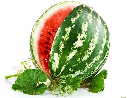 ഹൃദയാഘാതം തടയാൻ തണ്ണിമത്തൻ്റെ കുരു.! Watermelon seed to prevent heart attack.