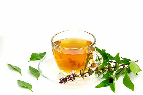 തുളസി ചായ, ആരോഗ്യ ഗുണങ്ങളെക്കുറിച്ചറിയാം | Benefits of Thulasi Tea