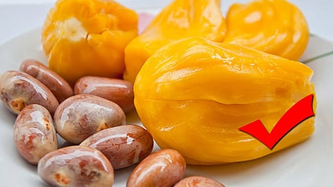 ചക്കക്കുരു വെറുതെ കളയല്ലേ, ഗുണങ്ങൾ ഏറെയാണ്.! Benefits of jackfruit seeds