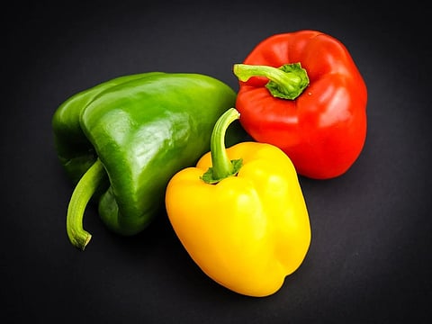 അറിയോ. കാപ്‌സിക്കത്തിൻ്റെ ഗുണങ്ങള്‍.? | do you know Benefits of Capsicum?
