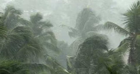 സംസ്ഥാനത്ത് പരക്കെ മഴയ്ക്കും ഇടിമിന്നലിനും സാധ്യത; 10 ജില്ലകളില്‍ യെല്ലോ അലേര്‍ട്ട്