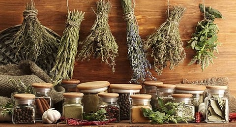 ഹൃദ്രോഗം വരാതിരിക്കാൻ സഹായിക്കുന്ന അഞ്ച് ഔഷധങ്ങൾ | Five medicines that help prevent heart disease