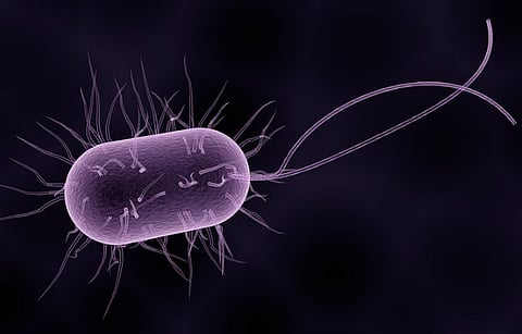 Leptospirosis death in Kerala