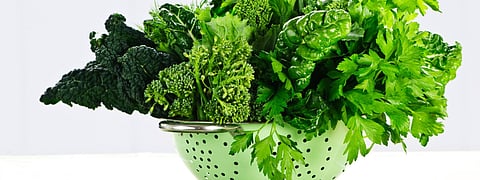 കണ്ണിന്റെ ആരോഗ്യത്തിന് ഇലക്കറികള്‍  | "Leafy Vegetables for Eye Health"