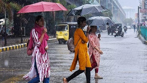 ഡിസംബർ 31 വരെ തമിഴ്നാട്ടിൽ മിതമായ മഴ തുടരും; കാലാവസ്ഥാ പ്രവചനം | Tamil Nadu Rain Alert